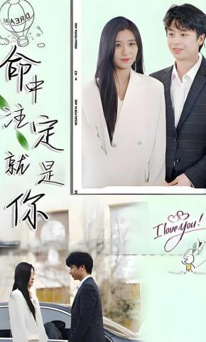 短剧命中注定就是你海报