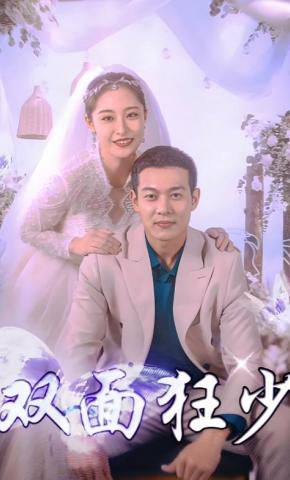 短剧双面狂少海报