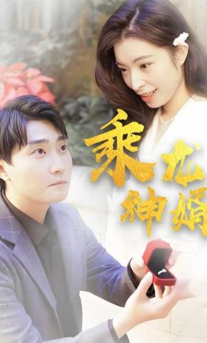 短剧乘龙神婿海报