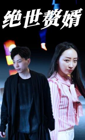 短剧绝世赘婿海报