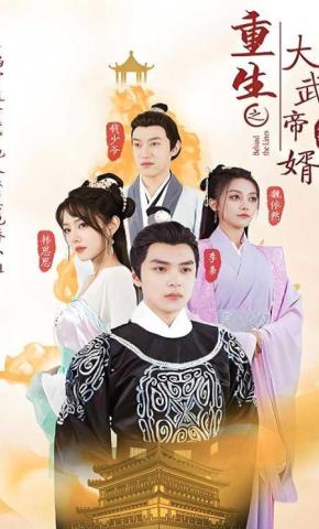 短剧重生之大武帝婿海报