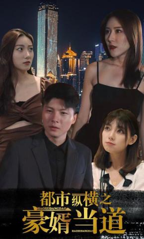 短剧都市纵横之豪婿当道海报