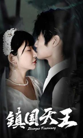 短剧《镇国天王》海报