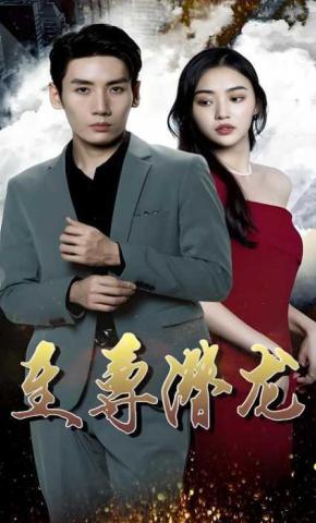 短剧至尊潜龙海报