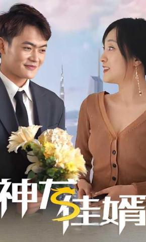 短剧神龙佳婿海报