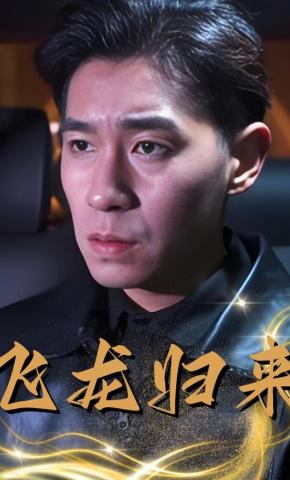 短剧飞龙归来海报