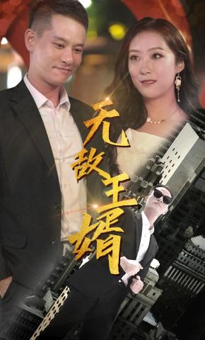 短剧无敌王婿海报