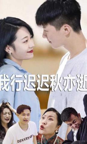 短剧我行迟迟秋亦逝海报