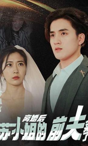 短剧离婚后，苏小姐的前夫又来了海报