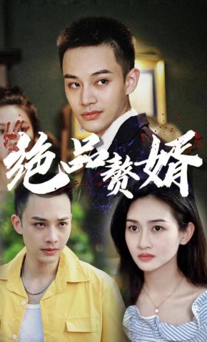 短剧绝品赘婿海报