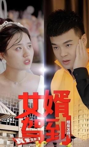 短剧《女婿驾到》海报