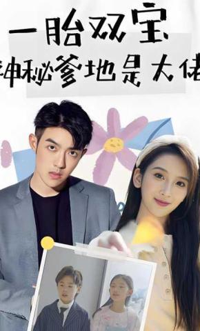 短剧一胎双宝：神秘爹地是大佬海报
