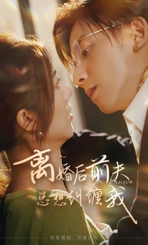 短剧《离婚后前夫总想纠缠我》海报