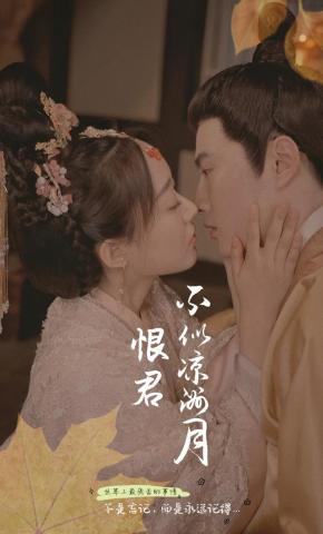 短剧《恨君不似 凉州月》海报