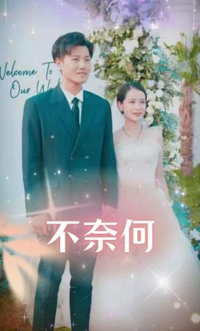 短剧《不奈何》海报