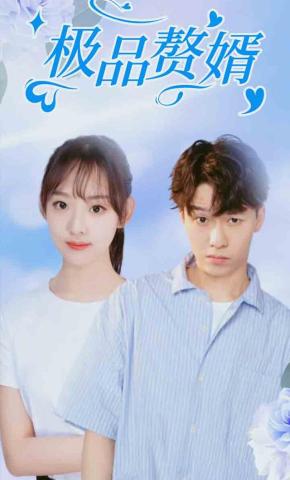 短剧极品赘婿海报