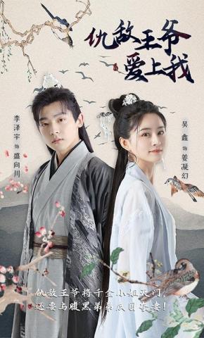 短剧仇敌王爷爱上我海报