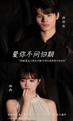 短剧爱你不问归期海报