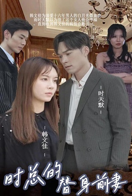 短剧时总的替身前妻海报