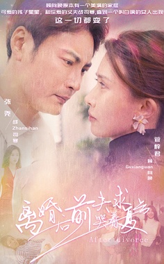 短剧离婚后前夫哭着求复合海报