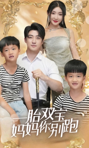 短剧一胎双宝妈妈你别跑海报