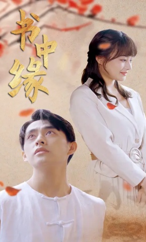 短剧书中缘海报