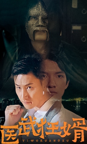 短剧医武狂婿海报