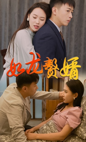 短剧如龙赘婿海报