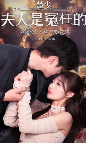 短剧楚少，夫人是冤枉的海报