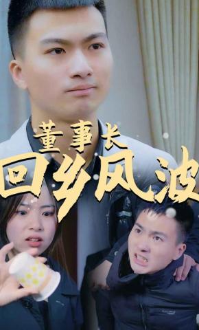 短剧董事长回乡风波海报