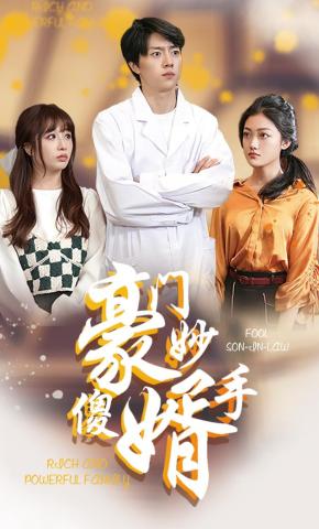 短剧《豪门妙手傻婿》海报