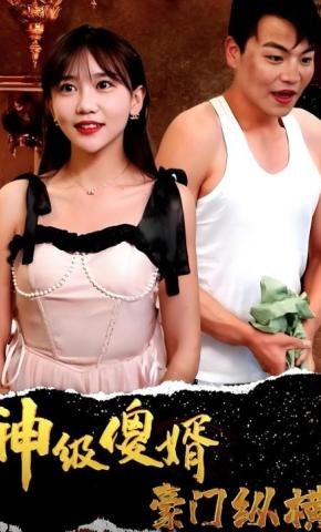 短剧神级傻婿豪门纵横海报