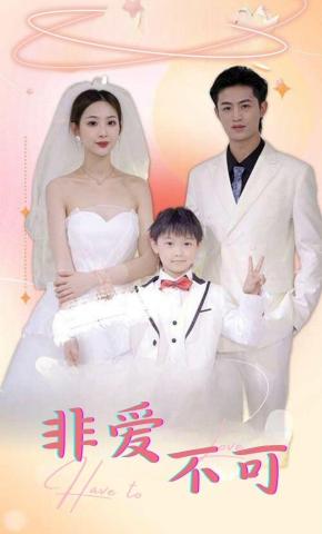 短剧非爱不可海报