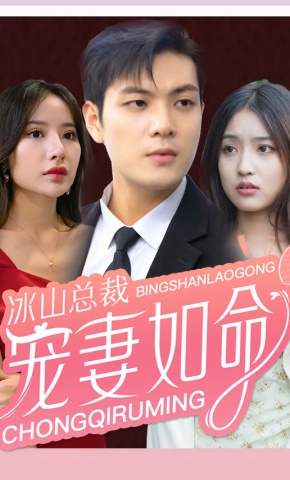 短剧冰山总裁宠妻如命海报