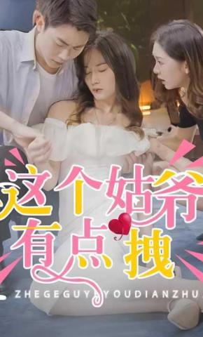 短剧这个姑爷有点拽海报