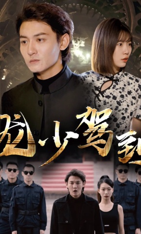 短剧龙少驾到海报