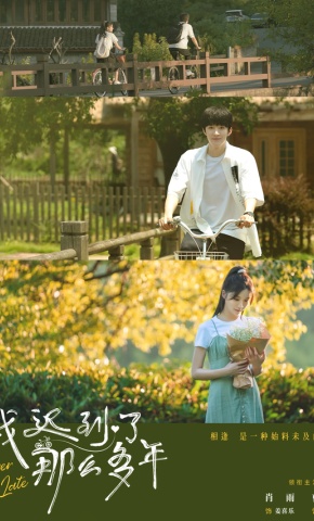 短剧我迟到了那么多年海报