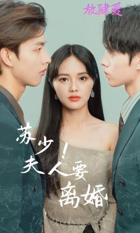 短剧苏少！夫人要离婚海报