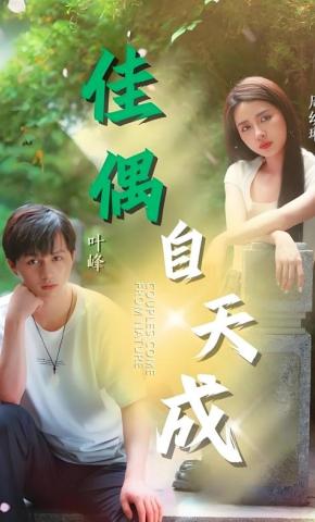 短剧佳偶自天成海报