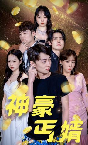 短剧神豪丐婿海报