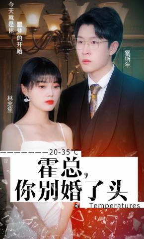 短剧霍总，你别婚了头海报