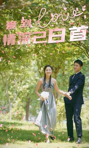 短剧爱到情深已白首海报