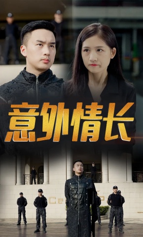 短剧意外情长海报