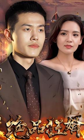 短剧绝品狂婿海报