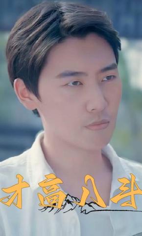 短剧才高八斗海报