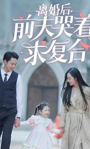 短剧离婚后前夫哭着求复合海报