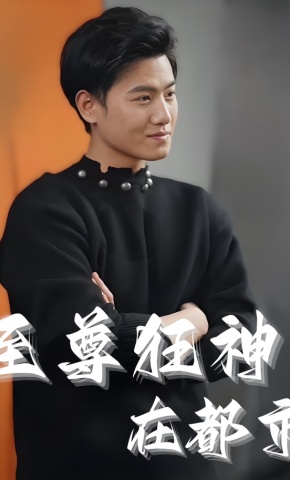 短剧《至尊狂神在都市》海报