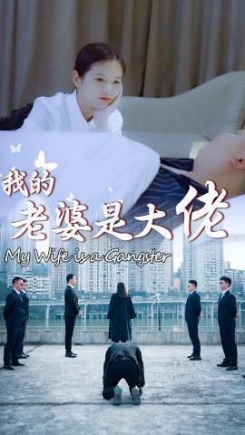 短剧我的老婆是大佬海报