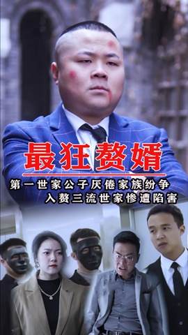 短剧最狂赘婿海报