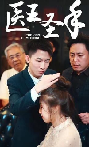 短剧医王圣手海报
